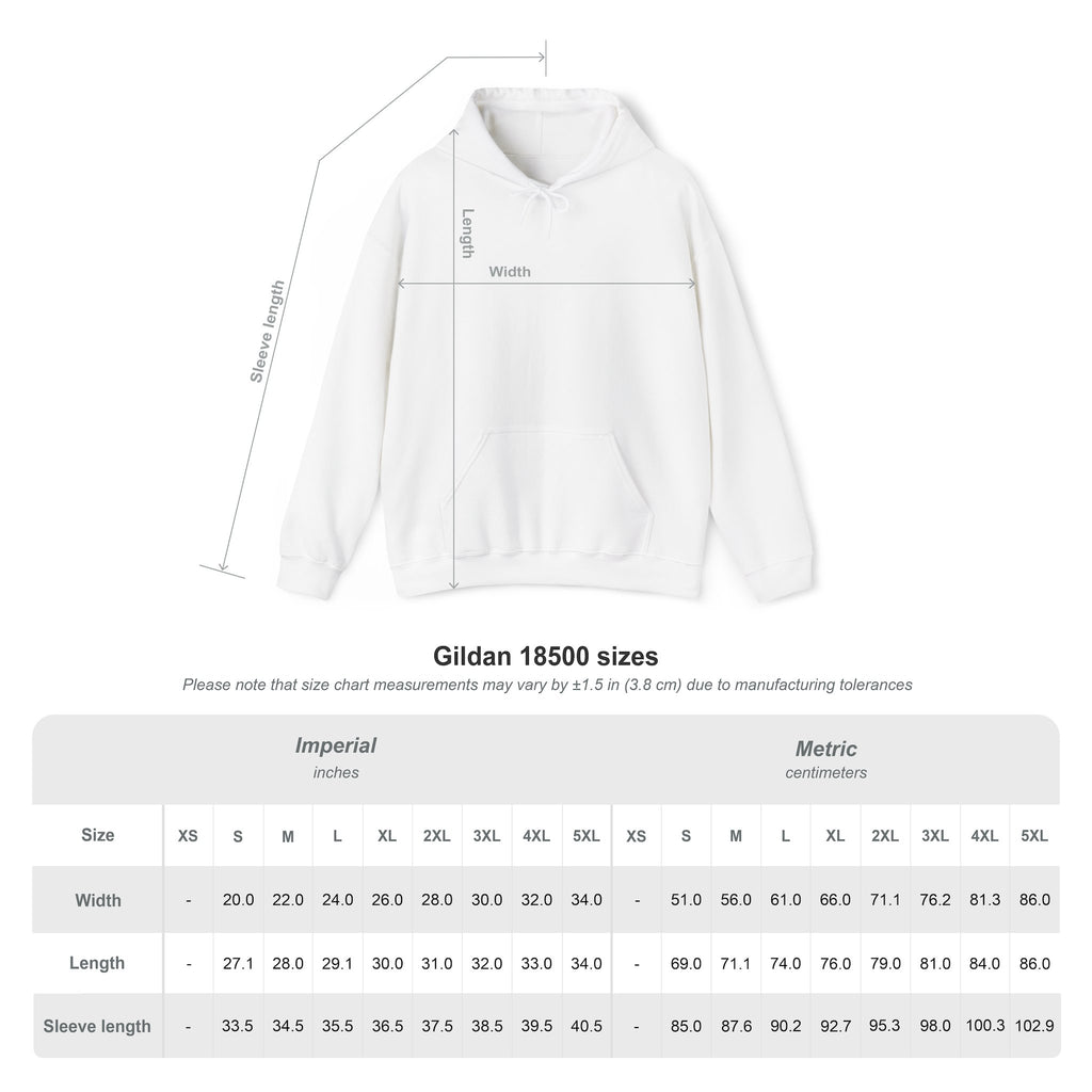 Windsor University USA Collegiate Hoodie