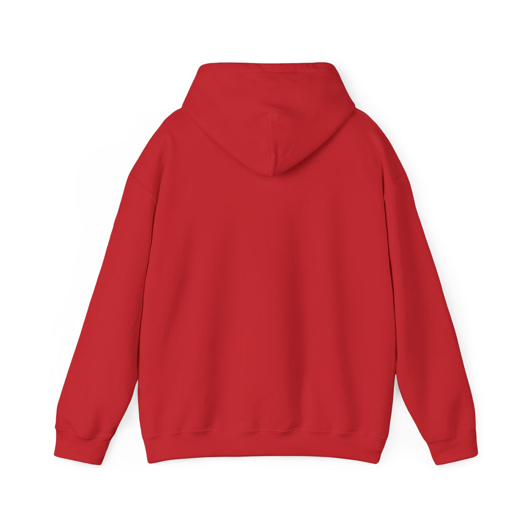 Windsor University USA Collegiate Hoodie