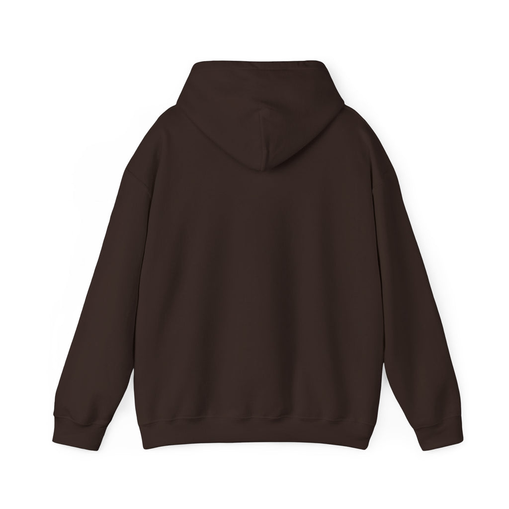 Windsor University USA Collegiate Hoodie