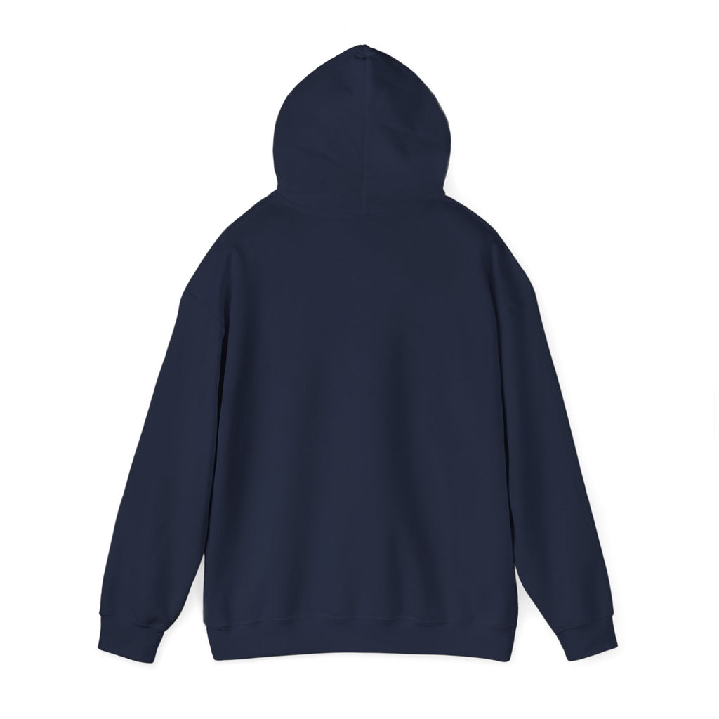 Windsor University USA Collegiate Hoodie