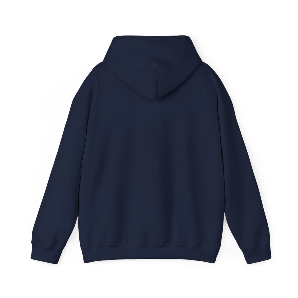 Windsor University USA Collegiate Hoodie