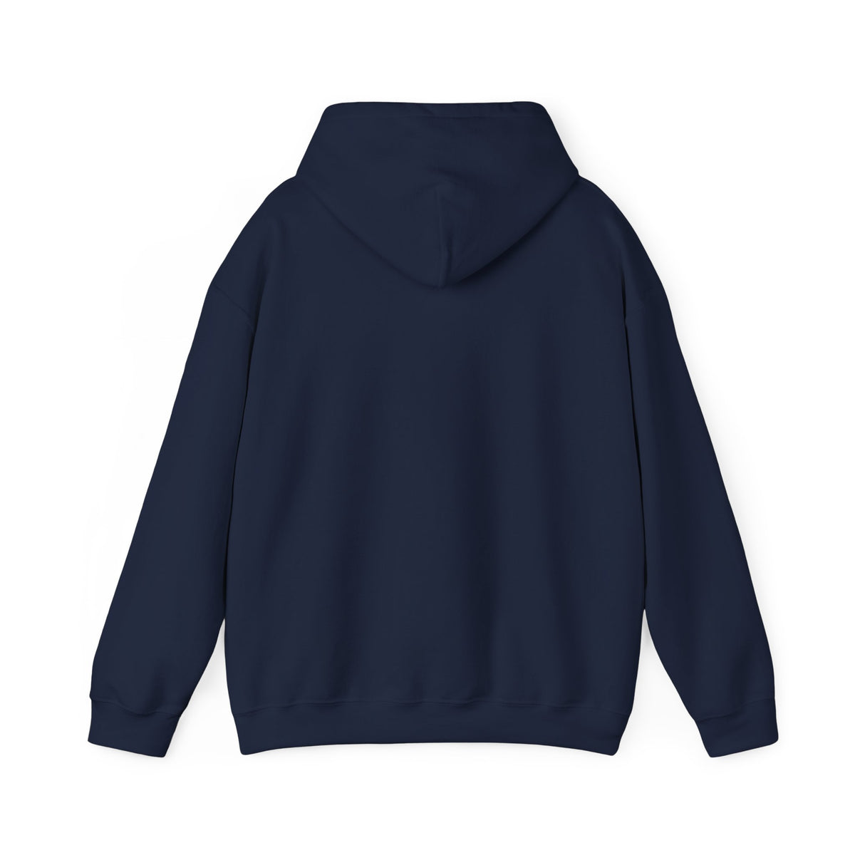 Windsor University USA Collegiate Hoodie
