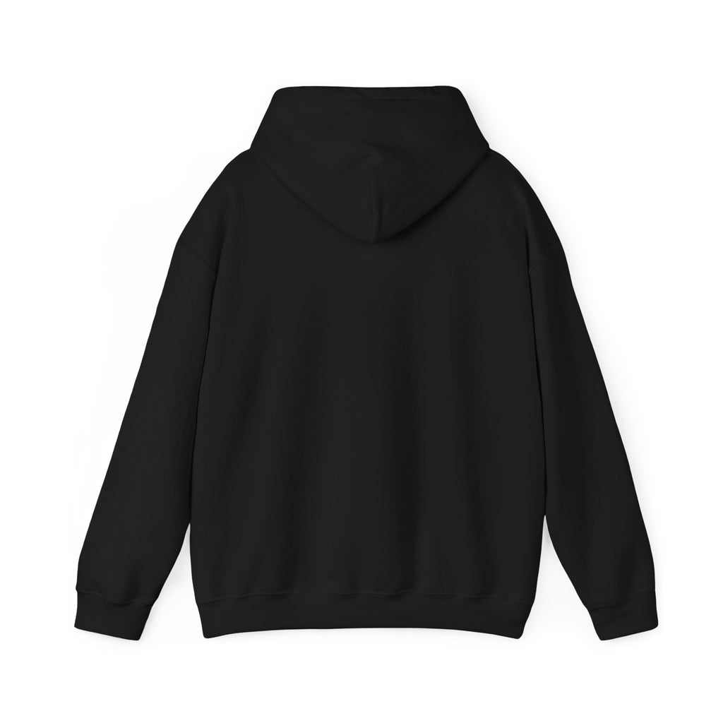 Windsor University USA Collegiate Hoodie