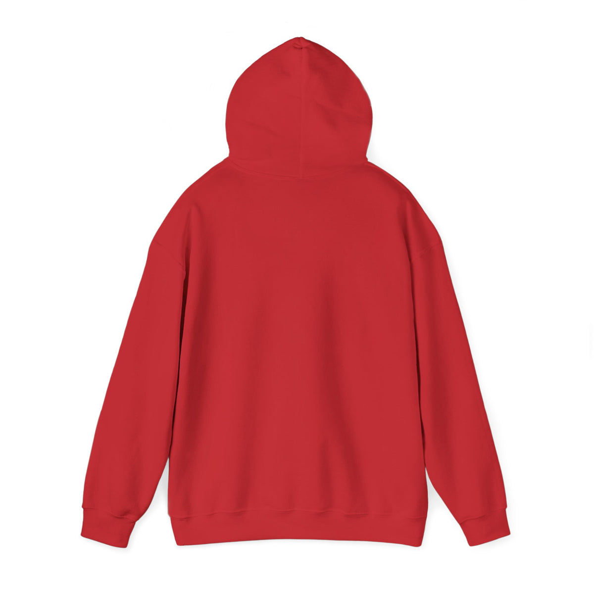 Windsor University USA Collegiate Hoodie
