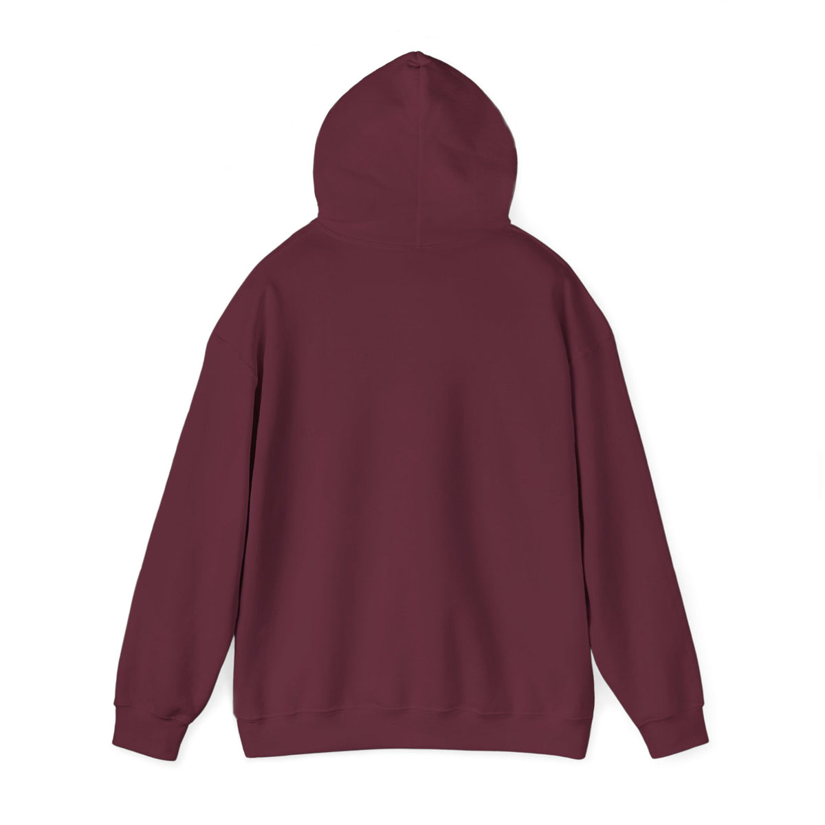 Windsor University USA Collegiate Hoodie