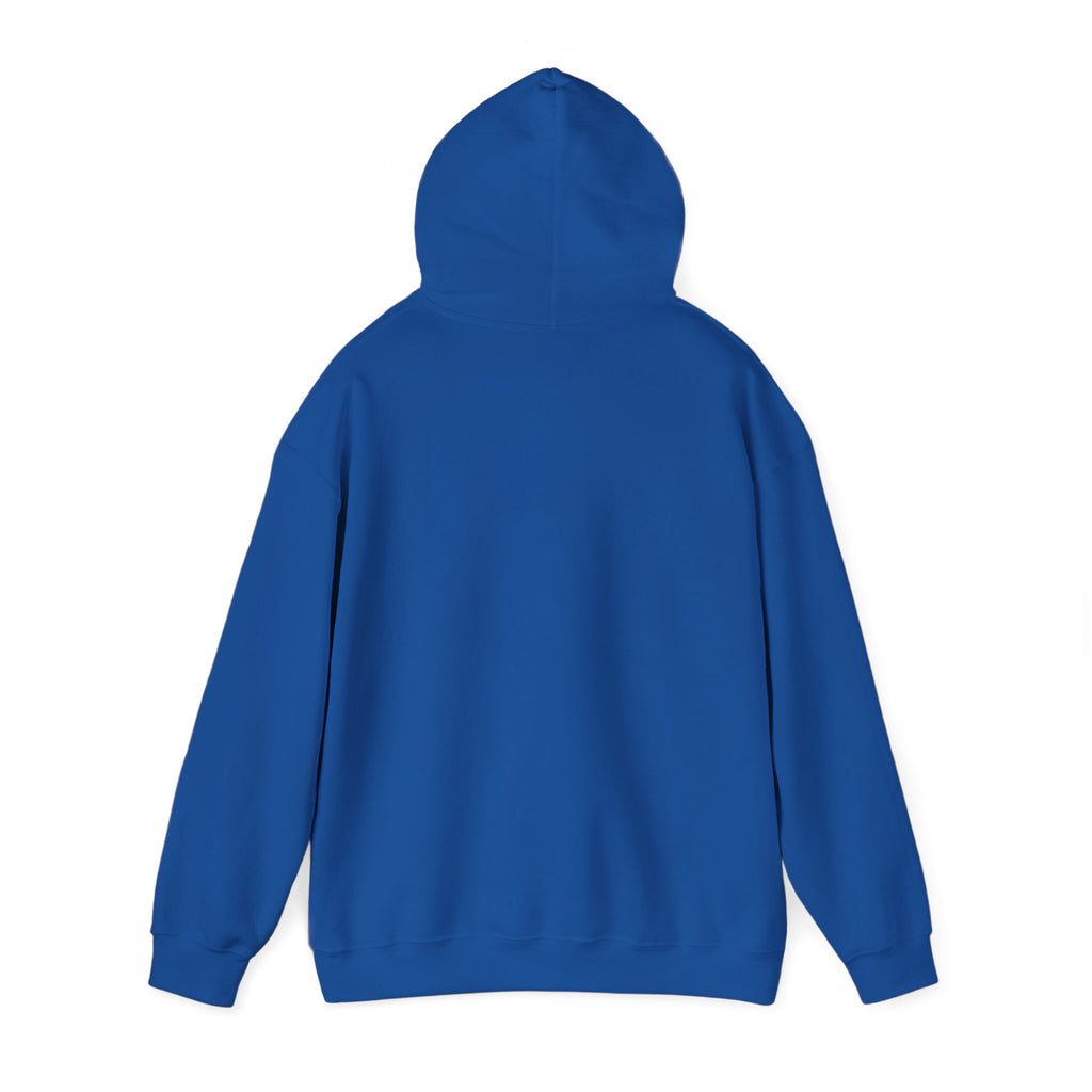Windsor University USA Collegiate Hoodie
