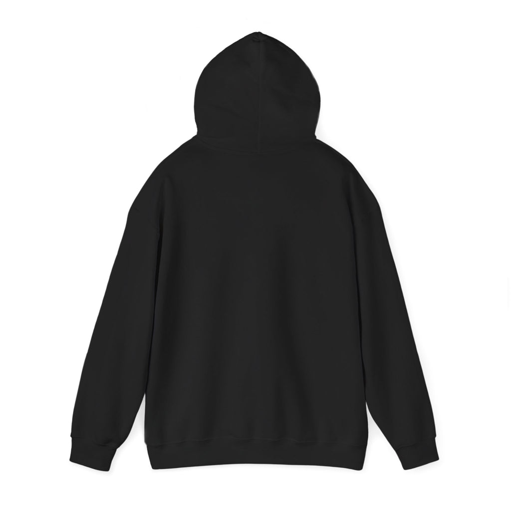 Windsor University USA Collegiate Hoodie