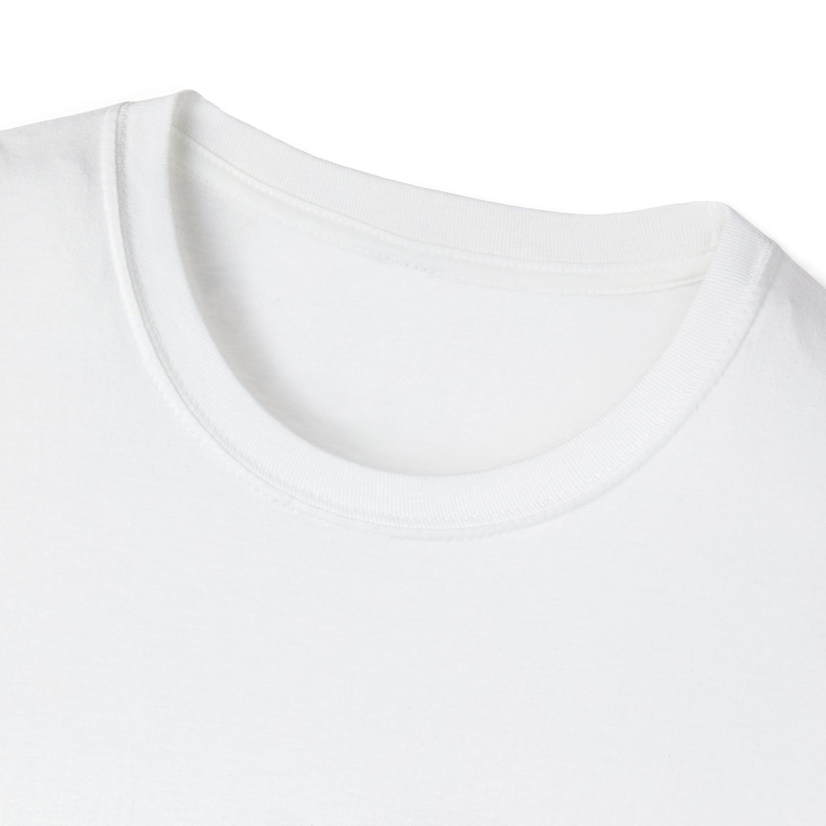 Windsor University USA Collegiate T-Shirt
