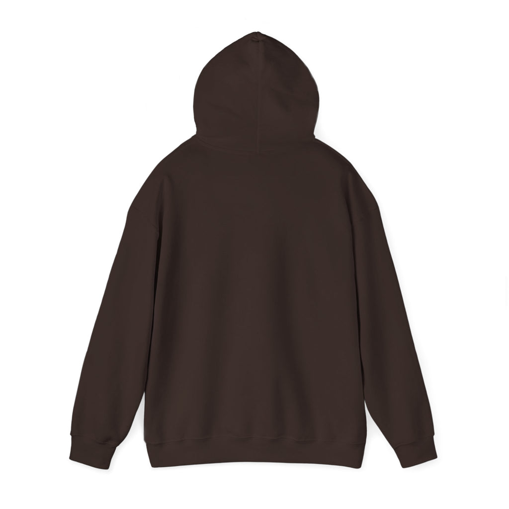 Windsor University USA Collegiate Hoodie