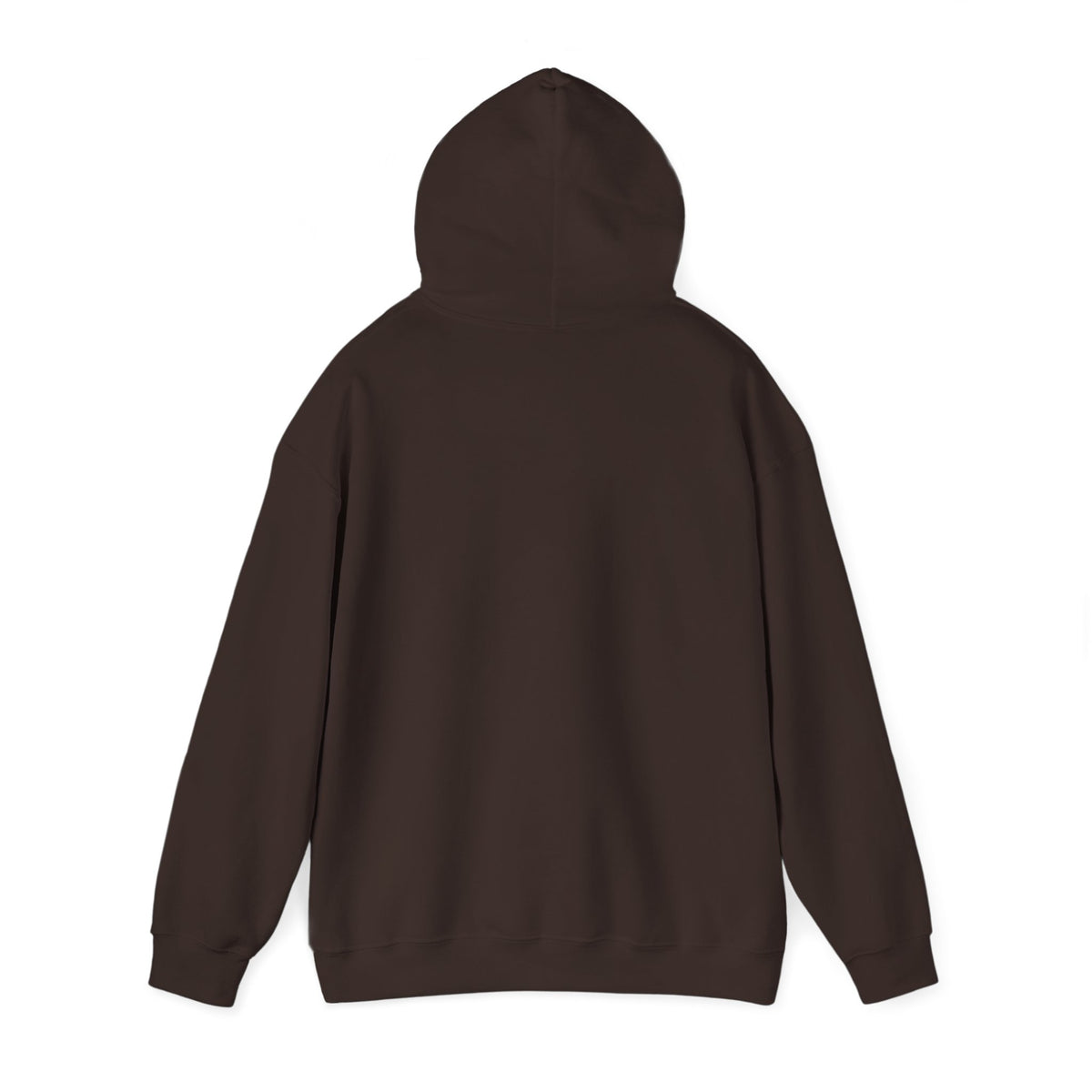 Windsor University USA Collegiate Hoodie