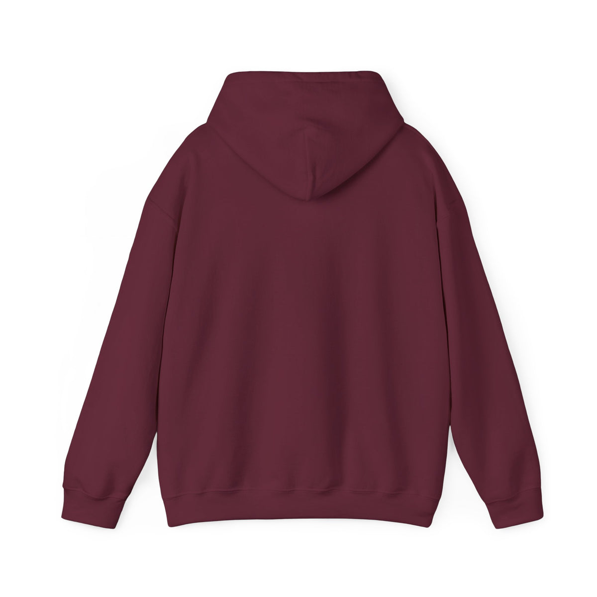 Windsor University USA Collegiate Hoodie